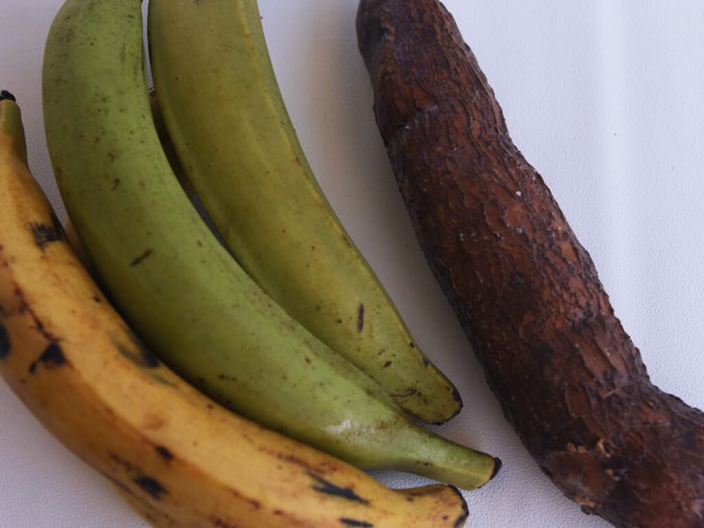 Bakbanaan en yuca tostones