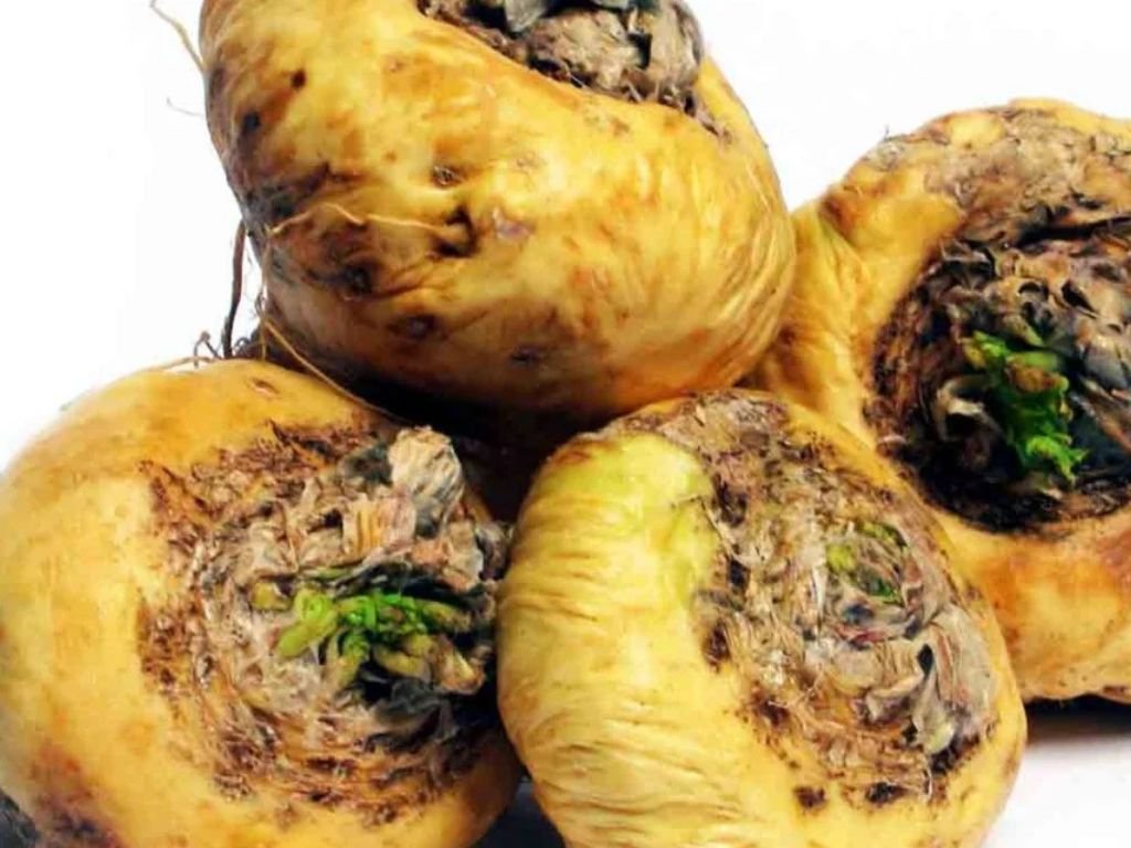 Maca om de hormoonbalans te verbeteren