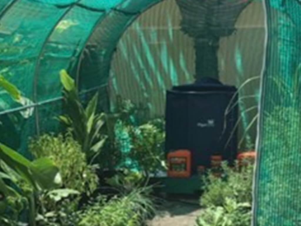Eigen groenten kweken in de achtertuin